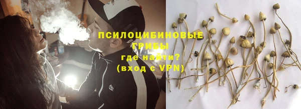 прущие крисы Алексин