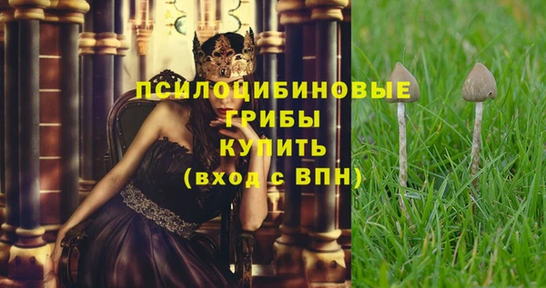 прущие крисы Алексин